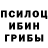 Галлюциногенные грибы GOLDEN TEACHER Thea Crosbie