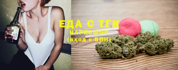 индика Шадринск