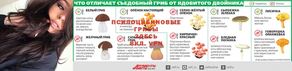 PSILOCYBIN Щучье
