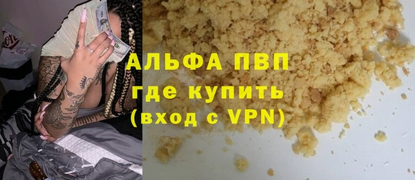 гашик Шали
