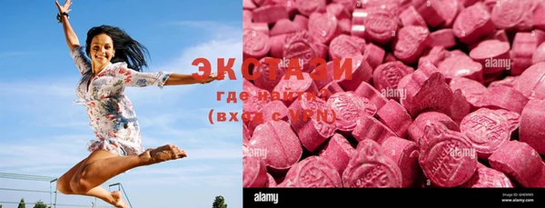 индика Шадринск