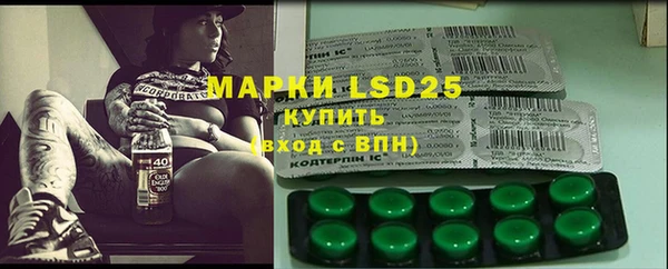 гашик Шали