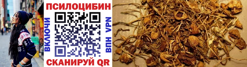 Галлюциногенные грибы мицелий  Муром 